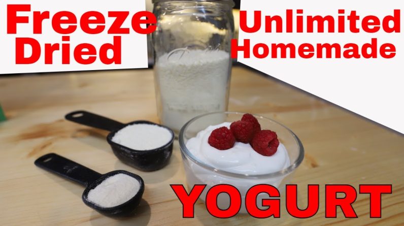 Unlimited Freeze Dried Yogurt -- Will a Yogurt Culture Survive Freeze Drying?