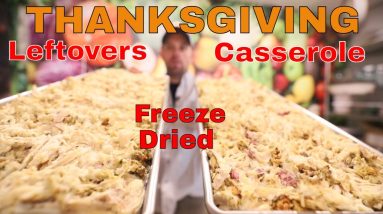 Freeze Drying 🦃Thanksgiving Leftovers!  -- Freeze Dried Thanksgiving 🦃Casserole
