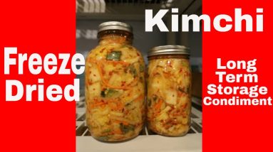 Freeze Dried Kimchi -- Universal Freeze Dried Condiment