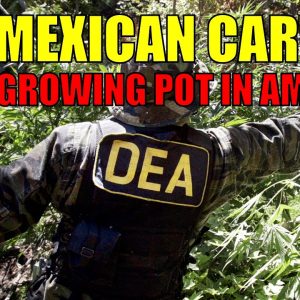 Survival Dispatch News 1-11-23: Mexican Cartel Grow Ops In America