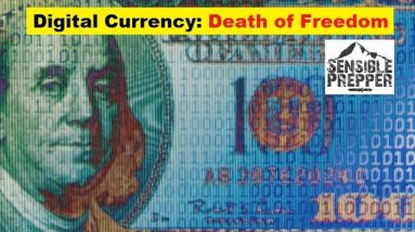 Dangers of Digital Currency : Death of Freedom