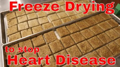 Freeze Dried Flaxseed Crackers -- HELP YOUR HEART!