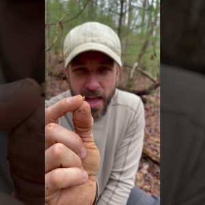 Survivalist Feeds Young Children Termites