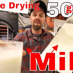 Freeze Drying 50 gallons of Milk 🐄 Freeze Drying Pantry Series #1