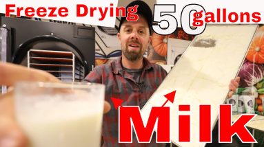 Freeze Drying 50 gallons of Milk 🐄 Freeze Drying Pantry Series #1