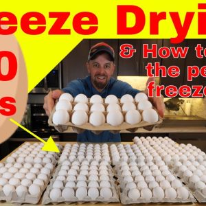 Freeze Drying 360 Eggs🍳 & How to make the Perfect Freeze Dried Egg!