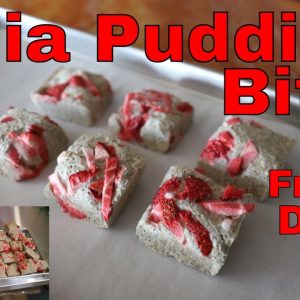 Freeze Dried Chia Pudding Bites -- Healthy Freeze Dried Snacks & Desserts