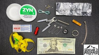 Zyn Micro Survival Kit