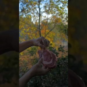 Had an insane catch recently during our primitive trapping shoot ðŸ˜ŽðŸ¥©