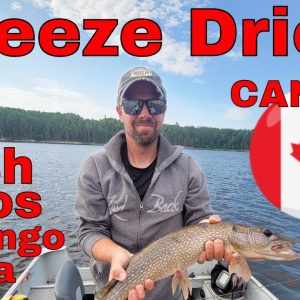 Freeze Drying in CANADA!! Freeze Dried Mango Salsa w/ Beer Battered Fish Tacos
