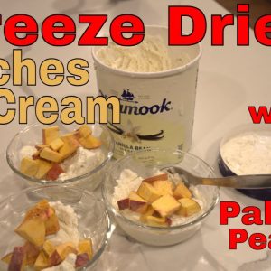 Freeze Dried Peaches and Cream! -- FREEZE DRIED DESSERTS