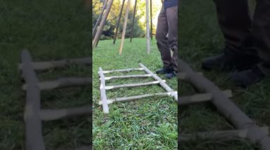 Satisfying Bushcraft Ladder Build w/o Rope 🪜😎