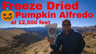 Freeze Dried Fettuccine Pumpkin Alfredo 🎃🎃🎃🎃🎃