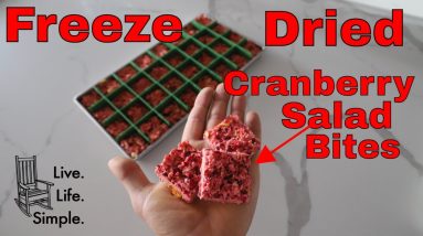 Delicious and Easy FREEZE DRIED Cranberry Salad Bites for Thanksgiving