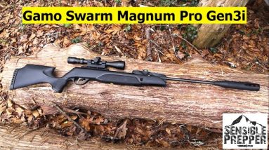 Gamo Swarm Magnum Pro Gen3i 10X Air Rifle Review : Excellent SHTF Choice