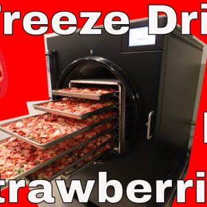25 lbs. of Freeze Dried Strawberries!