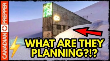 ⚡ALERT: CHINA/ RUSSIA AMASSING DOOMSDAY STOCKPILES, SEED VAULTS, SECRET BUNKERS AND WORLD WAR 3