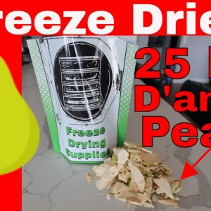 Making 25 Lbs. Freeze Dried D'anjou Pears