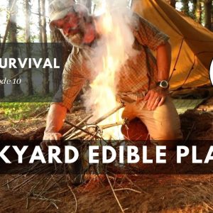 Easy to Identify Backyard Edibles for Survival (24 Hour Survival Ch. 10) | Gray Bearded Green Beret