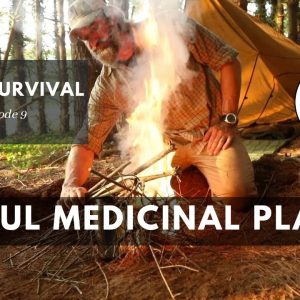 Useful Medicinal Plants for Emergency Use (24 Hour Survival Ch. 9) | Gray Bearded Green Beret